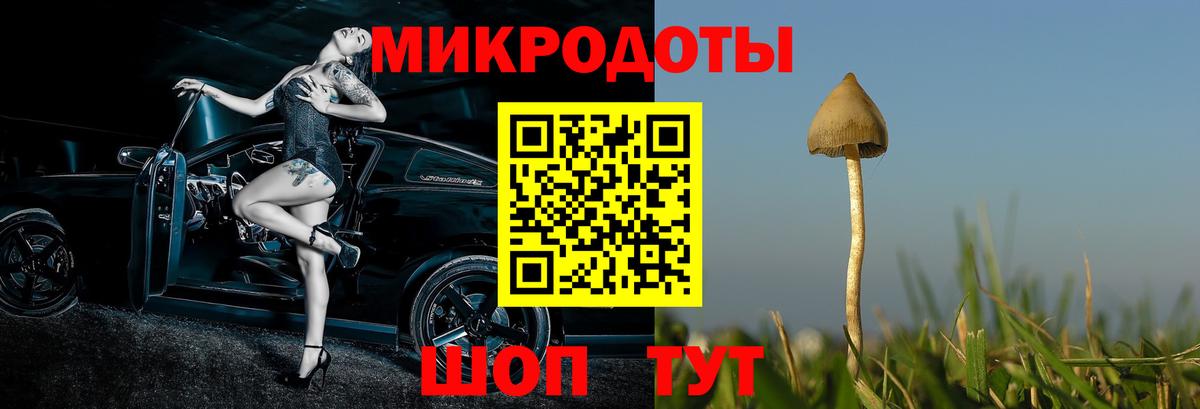 Галлюциногенные грибы MAGIC MUSHROOMS Нововоронеж