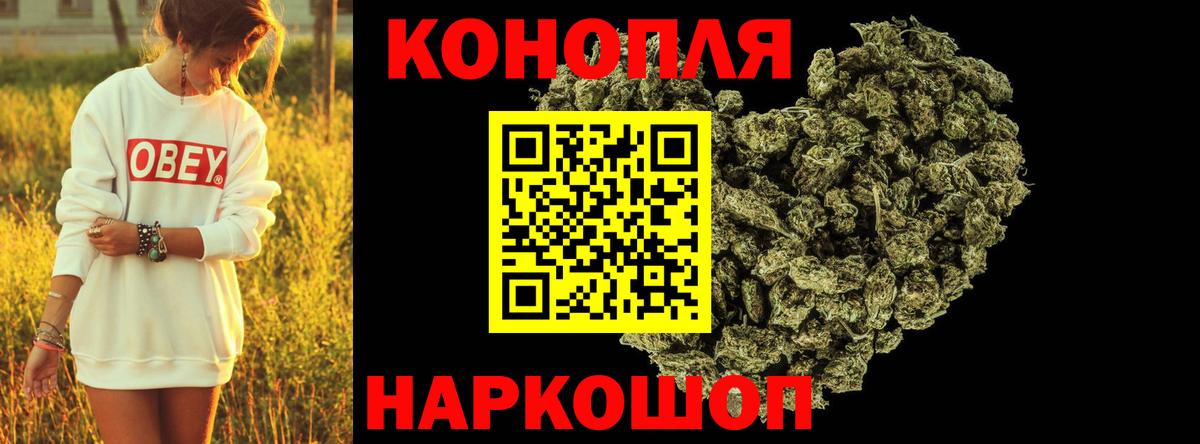 Шишки марихуана гибрид  Вход с VPN  Нововоронеж  Бошки марихуана White Widow  Конопля White Widow  Марихуана AK-47 